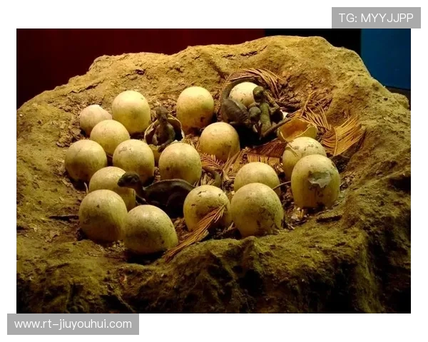 足球背亚巨龟的奇幻之旅揭示自然与竞技融合的独特魅力